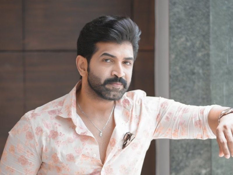 Mr Arun Vijay